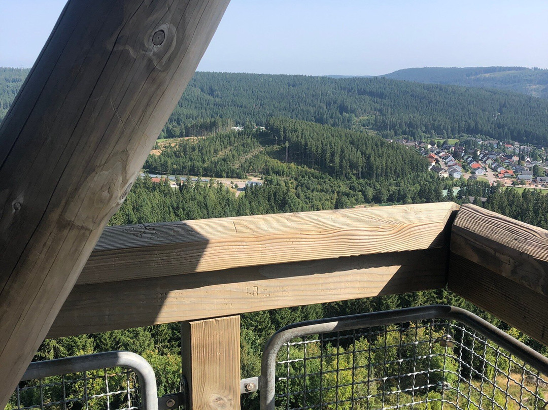 Riesenbühlturm in Schluchsee-施卢赫湖必去景点