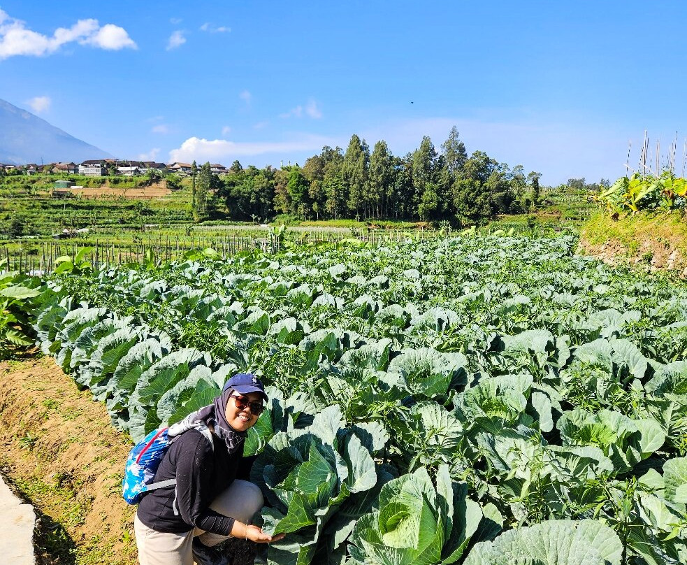 Mount Andong-马吉冷必去景点