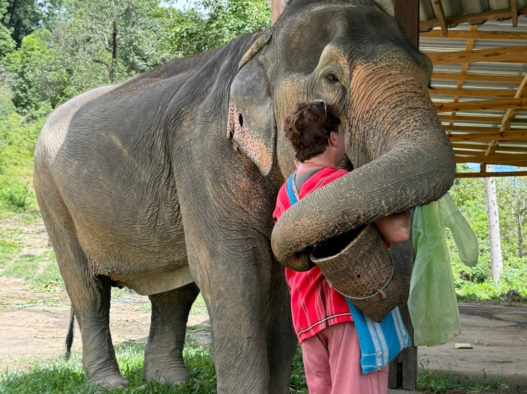 Karen Tribe Native Elephant-清迈必去景点