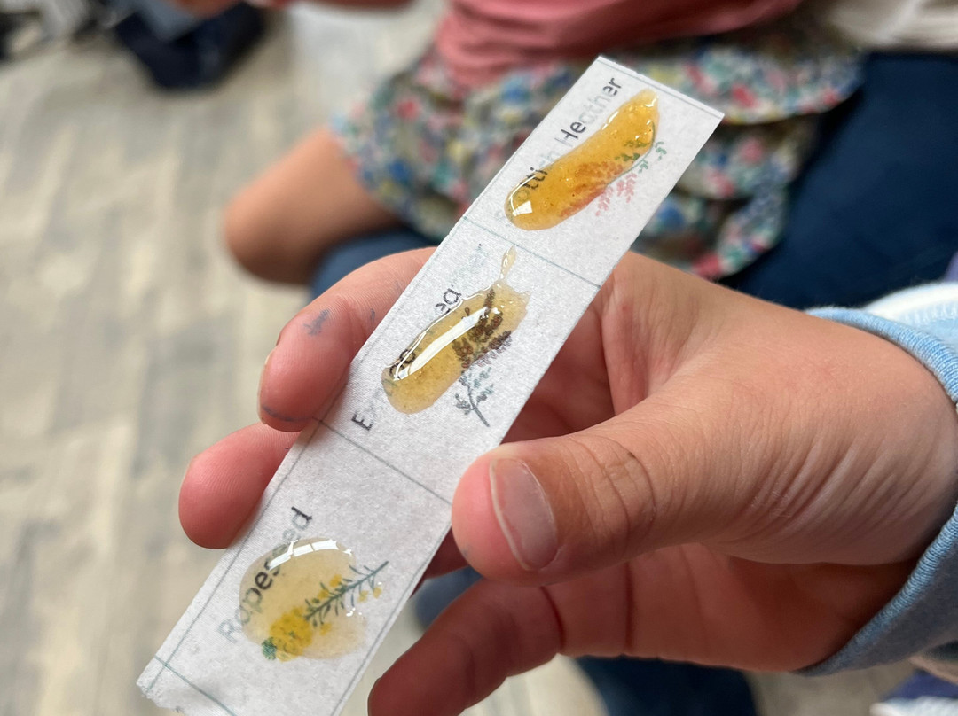 Quince Honey Farm-South Molton必去景点