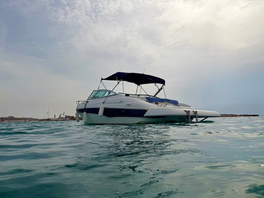 Boat Tours - Vela Mayorca-马洛卡帕尔马必去景点