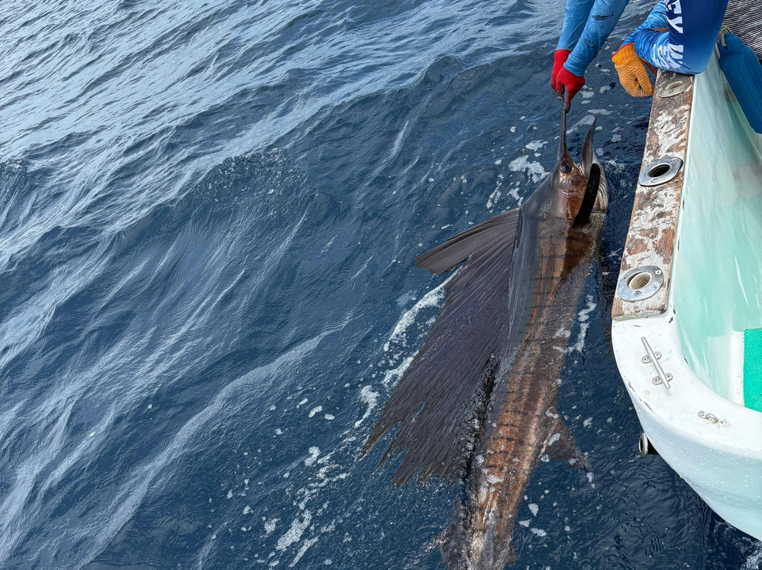 Papagayo Gulf Sport Fishing - North Pacific Tours-艾尔摩滩必去景点