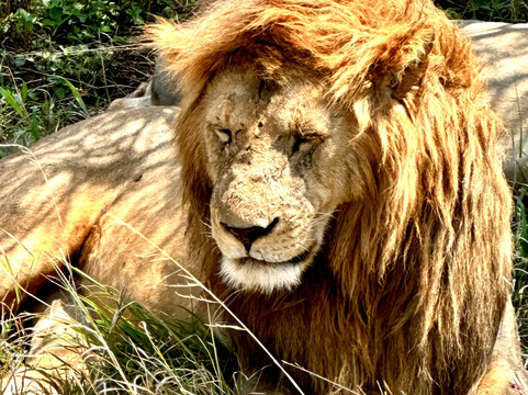 Soraka Tours-莫西必去景点