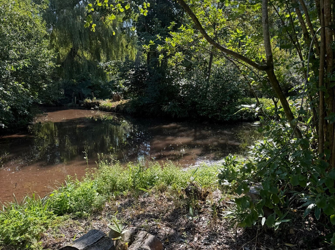 Paignton Zoo Environmental Park-佩恩顿必去景点