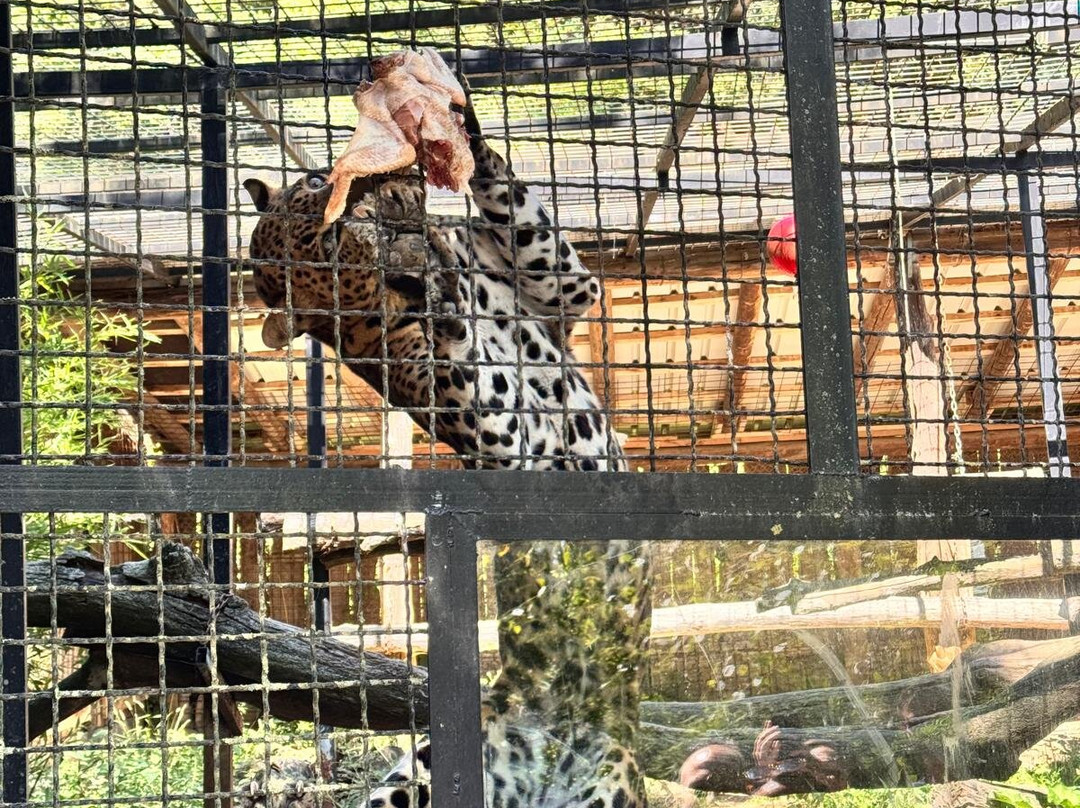 Parco Safari delle Langhe-Murazzano必去景点