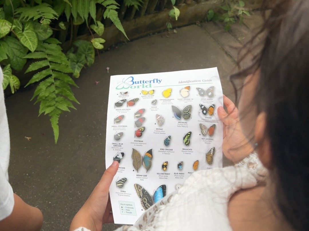 Butterfly World-斯托克顿提斯必去景点