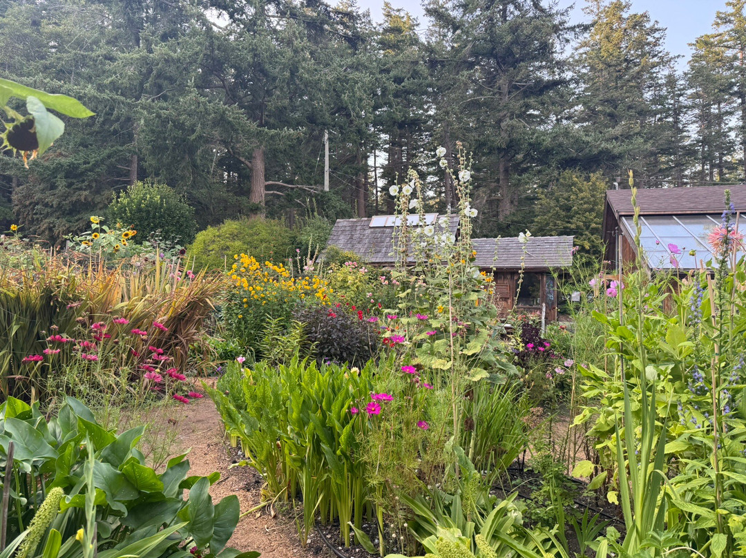 Hollyhock Restaurant