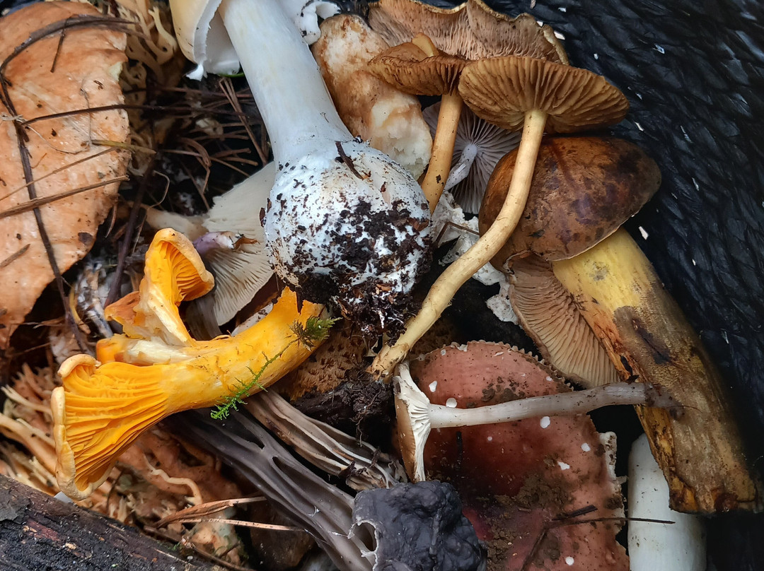 Funset Experience-Amecameca必去景点