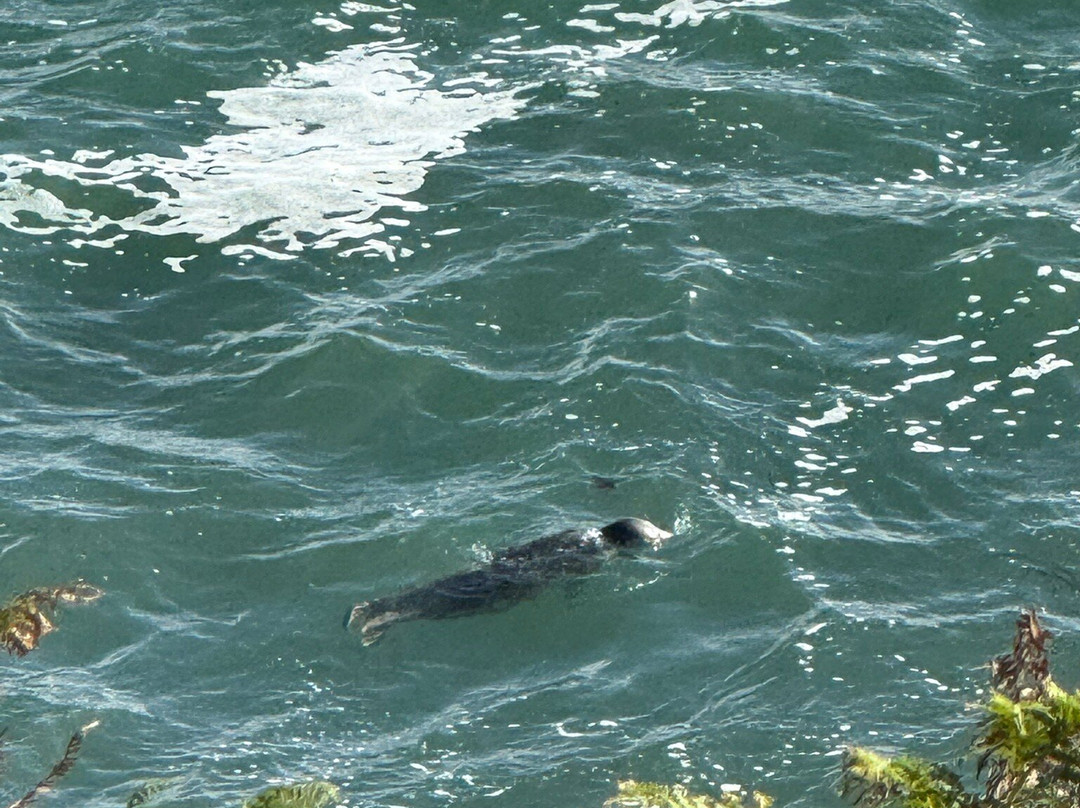 Lamorna Cove-Lamorna必去景点