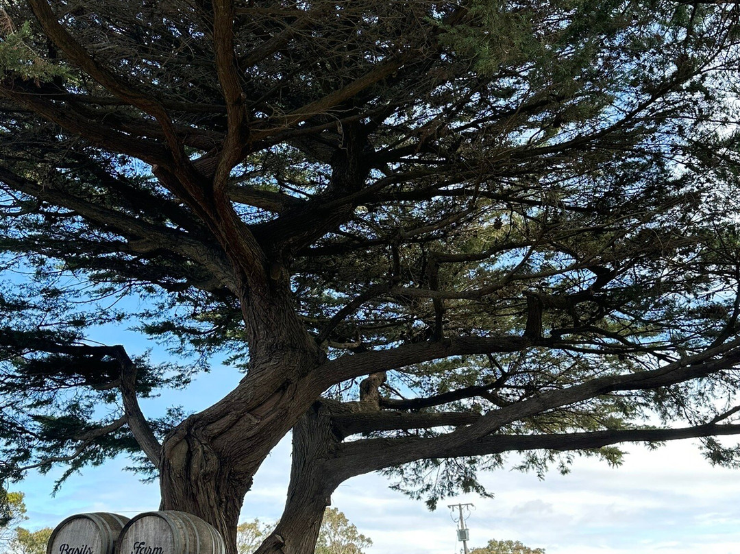 Basils Farm-皇后崖必去景点