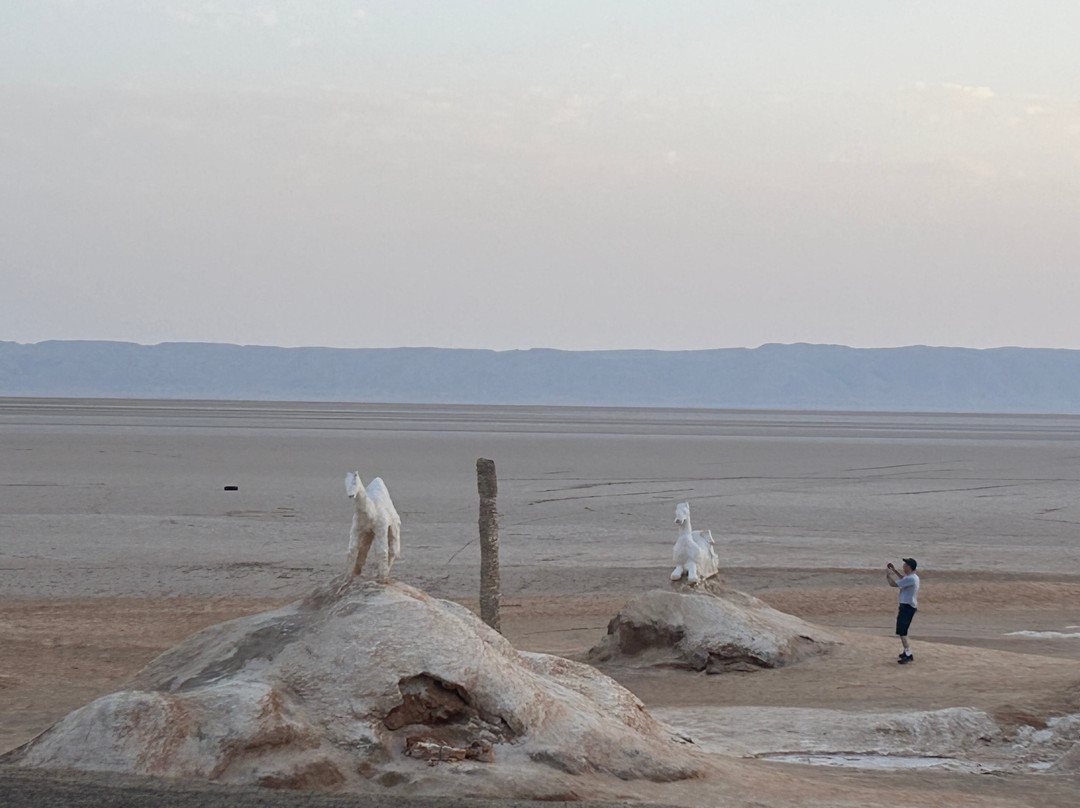 Sahara Desert Trips-突尼斯必去景点