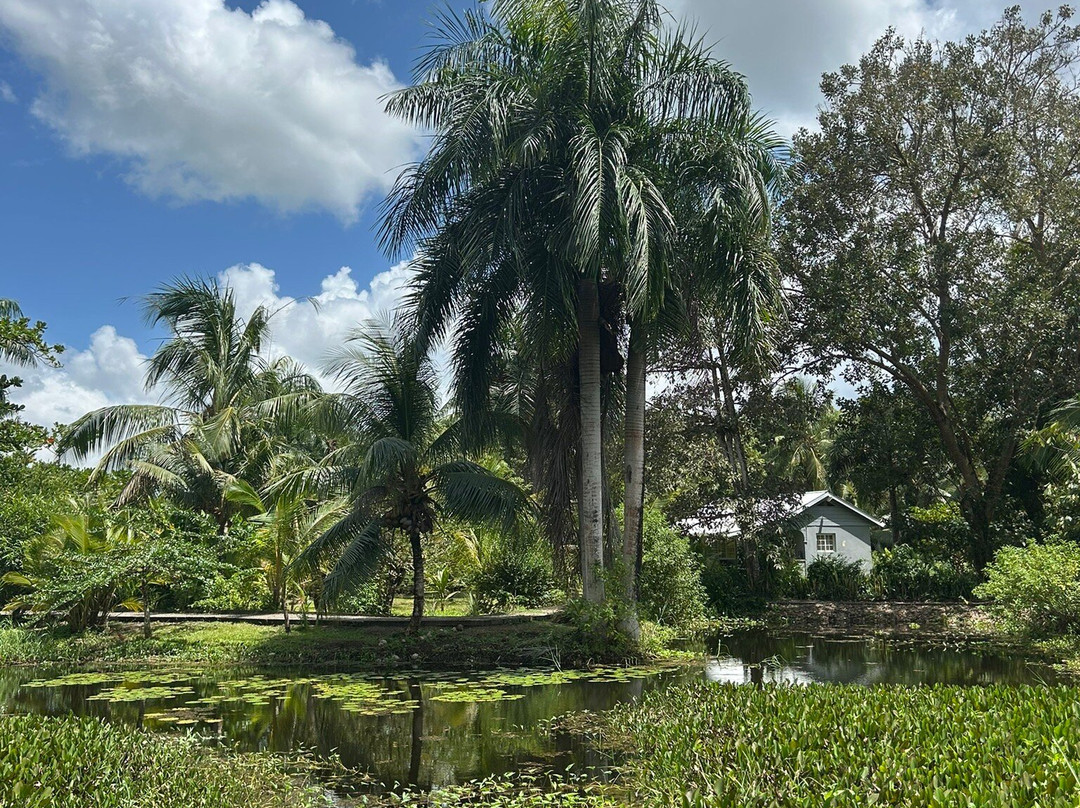 Museum Bakkie-Reynsdorp必去景点
