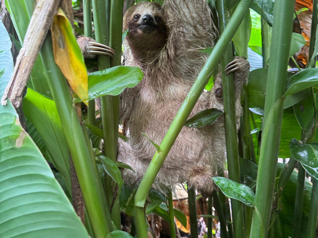 Costa Rica Xploring Tours-Gulf of Papagayo必去景点