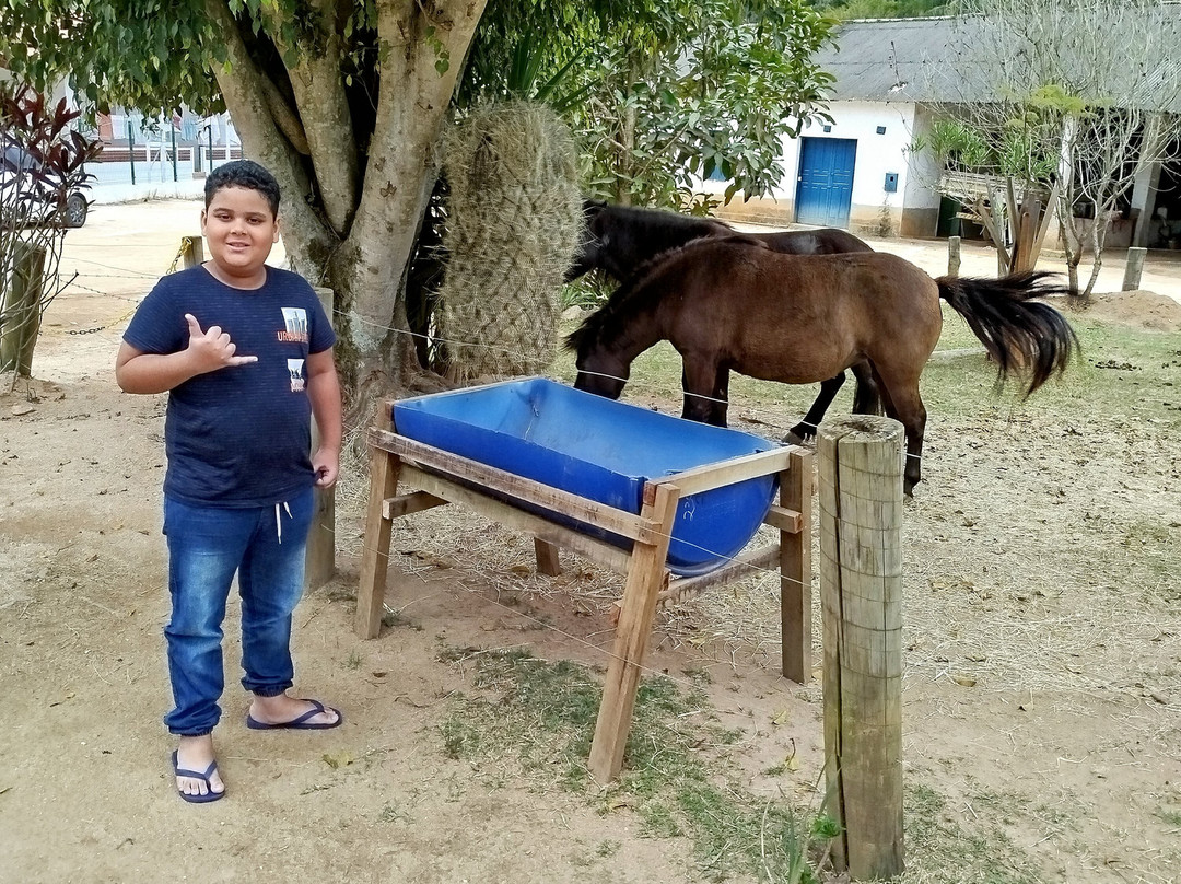 Valentim Iogurteria Artesanal-多明戈斯-马丁斯必去景点