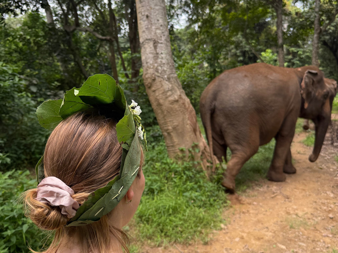 Elephant Haven-柿约必去景点