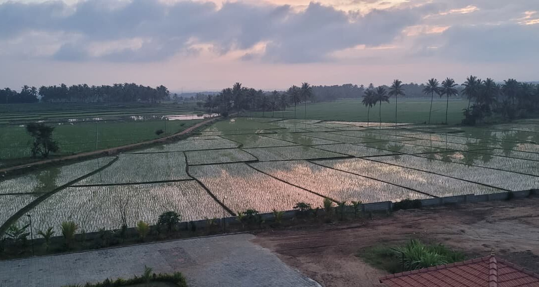 Yogadarshanam Yoga School-迈索尔必去景点