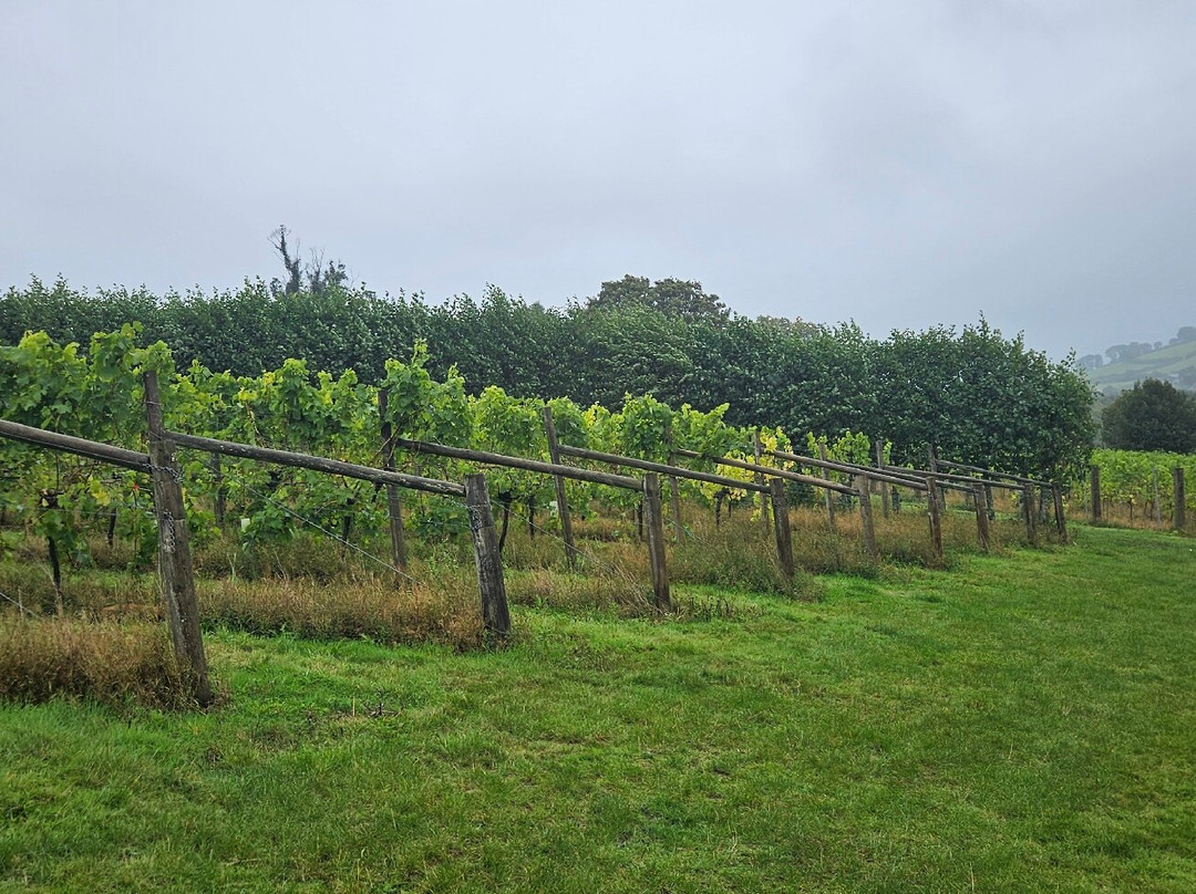Alder Vineyard-Lewdown必去景点