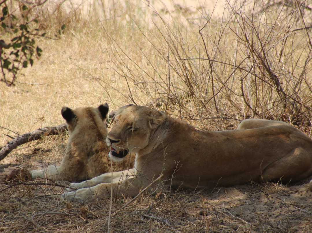 Mbombela Experience Tours and Safaris-尼斯普鲁特必去景点