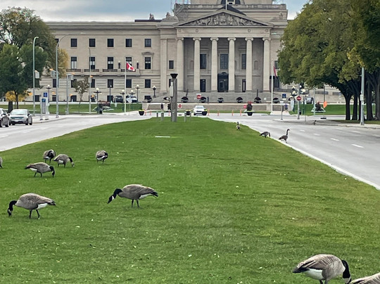 Winnipeg Trolley Company-温尼伯必去景点