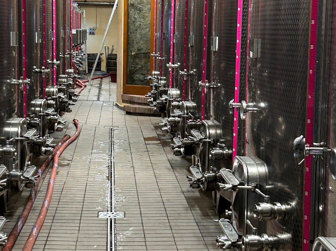 Buonamico Tenuta-Montecarlo必去景点