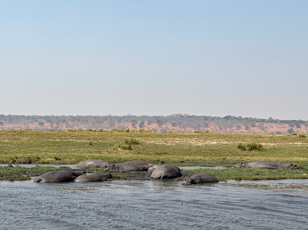 Kalahari Tours-卡萨尼必去景点