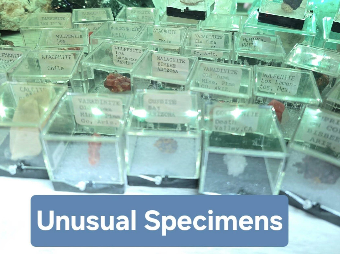 Eclectic Avenue LLC-Port Washington必去景点