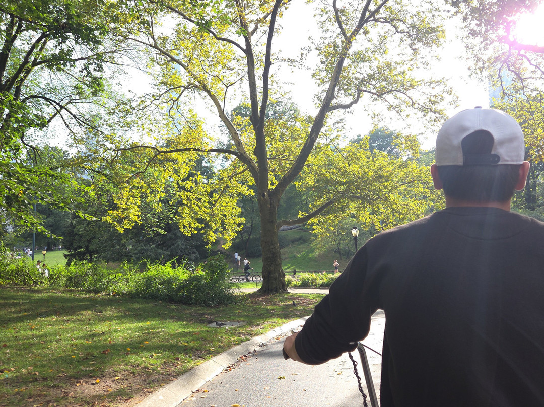 Journey Park Nyc|| Central Park Tours-纽约市必去景点