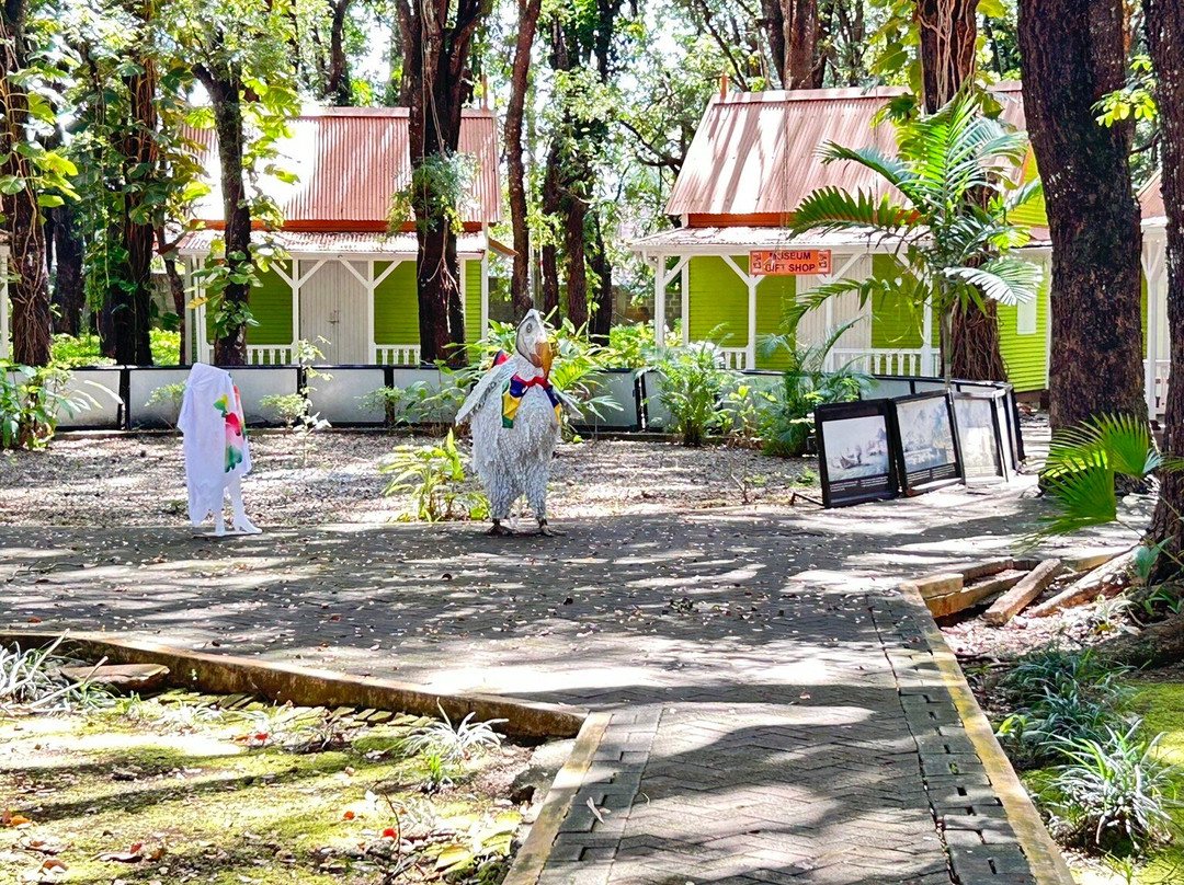 Mahebourg Museum-马喜埔必去景点