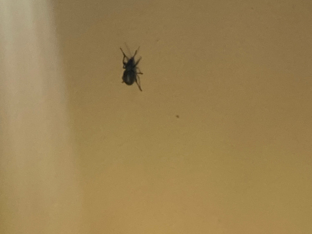 海湾套房酒店主图