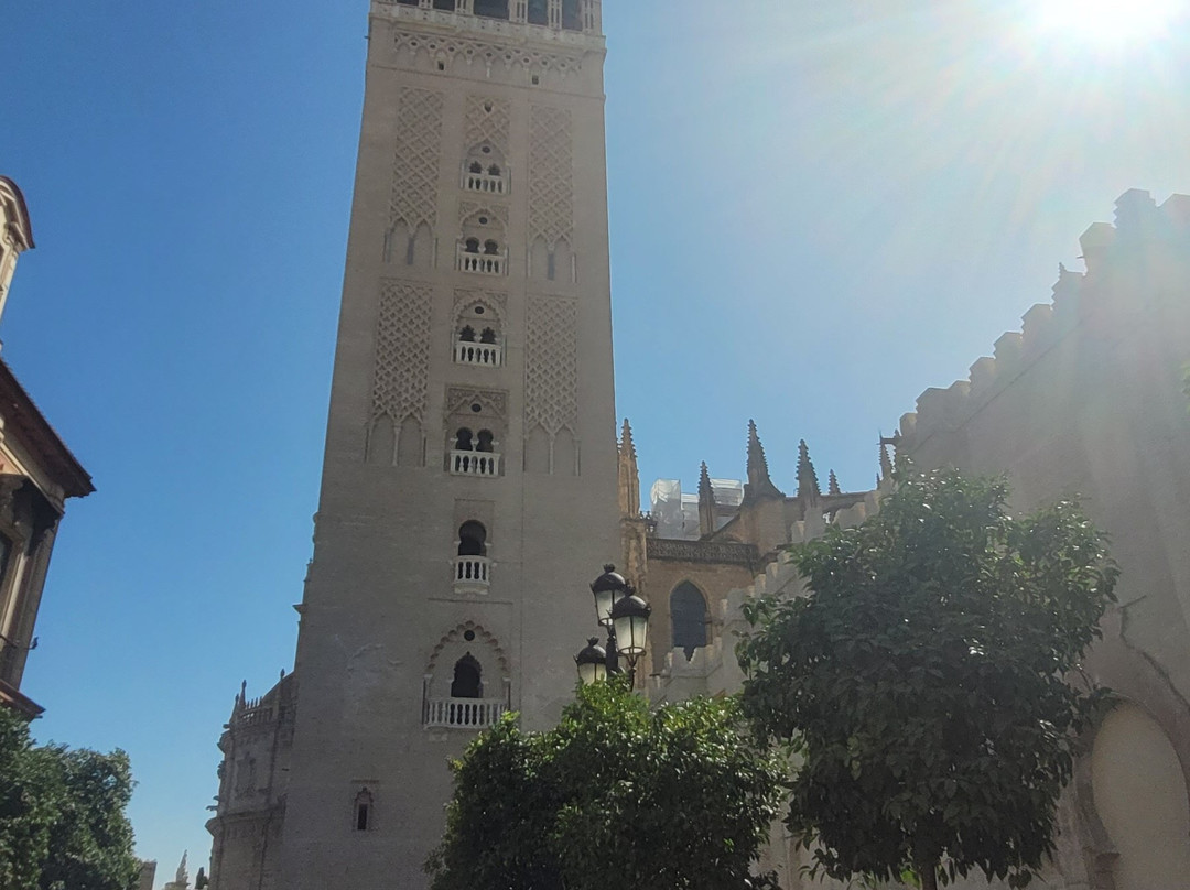 White Umbrella Tours-塞维利亚必去景点