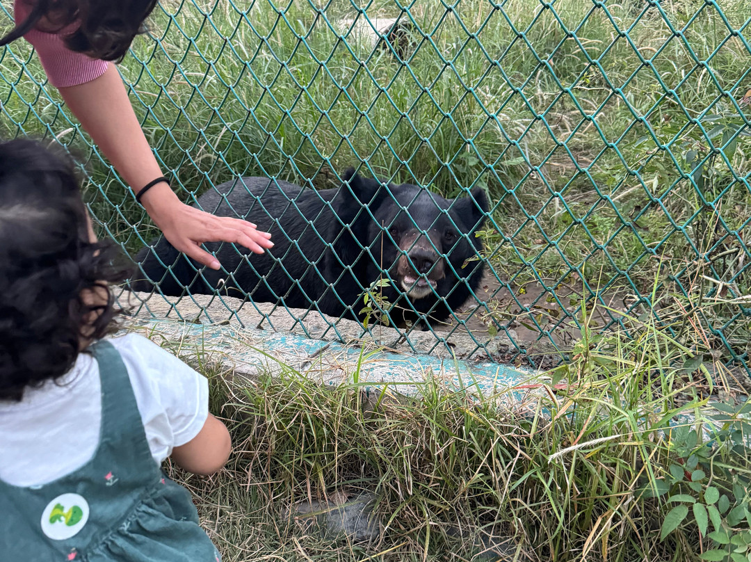 Dachigam Wildlife Sanctuary-斯利那加必去景点