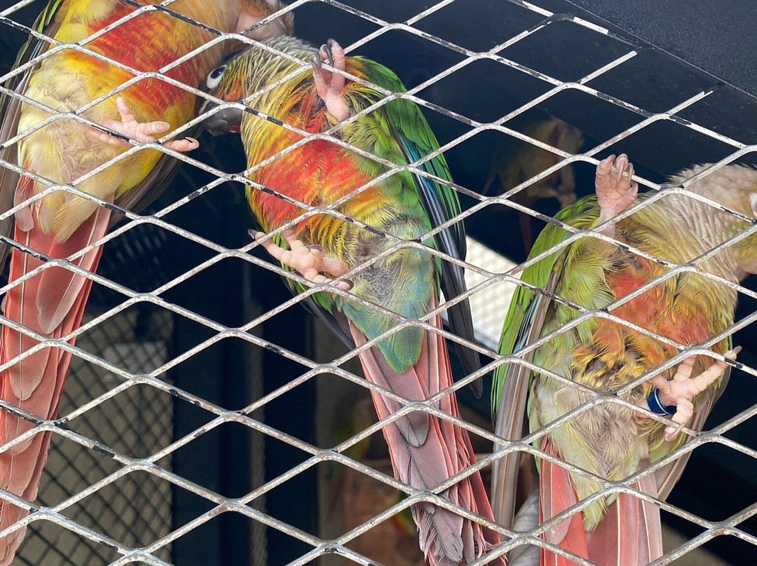 Aquaria Phuket Thailand-普吉镇必去景点