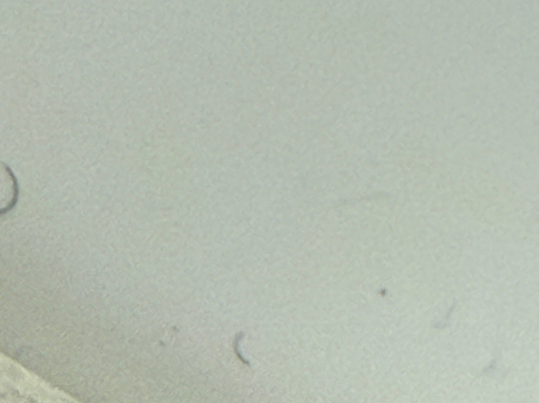 Fairfield Inn Philadelphia West Chester / Exton主图