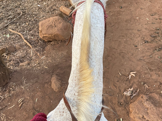 Pālehua Trail Rides-考普雷必去景点