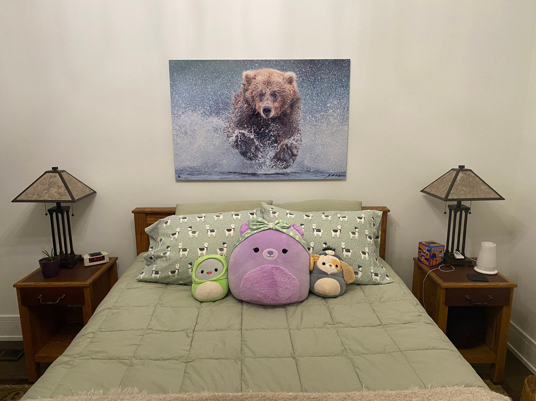 BearHead Photography Gallery-史凯威必去景点