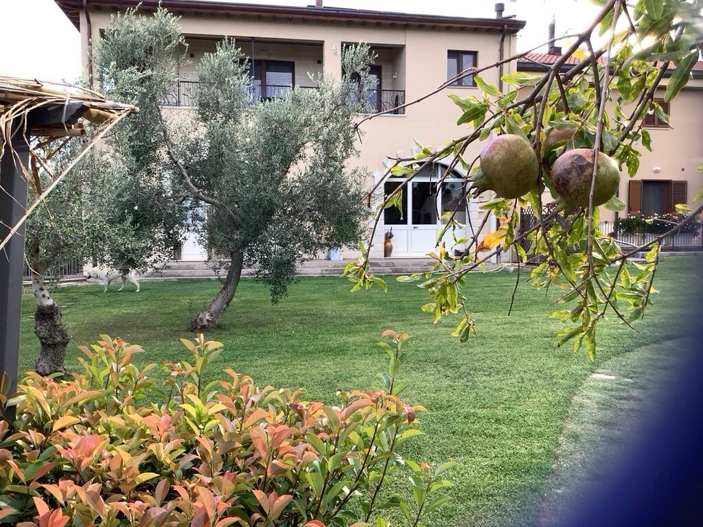 Agriturismo L'Assiolo主图