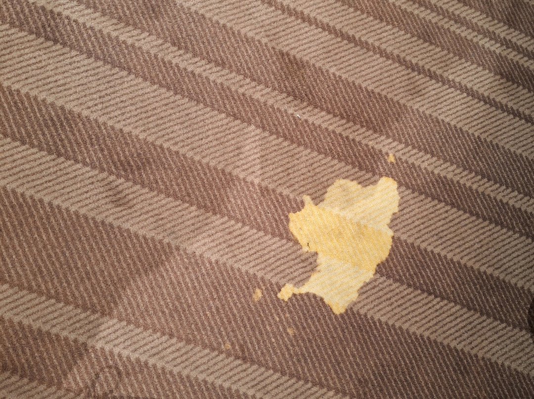 Hotel Moers Van Der Valk主图