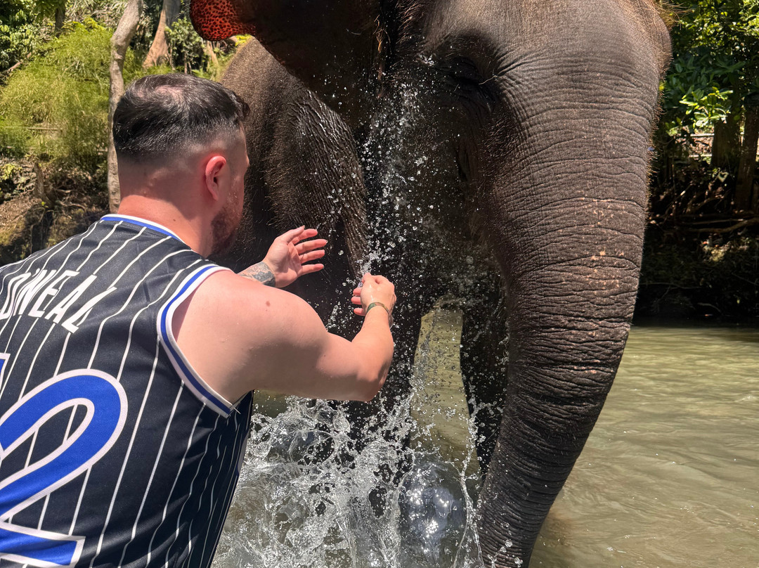 Bali Advisor Tour-乌布必去景点