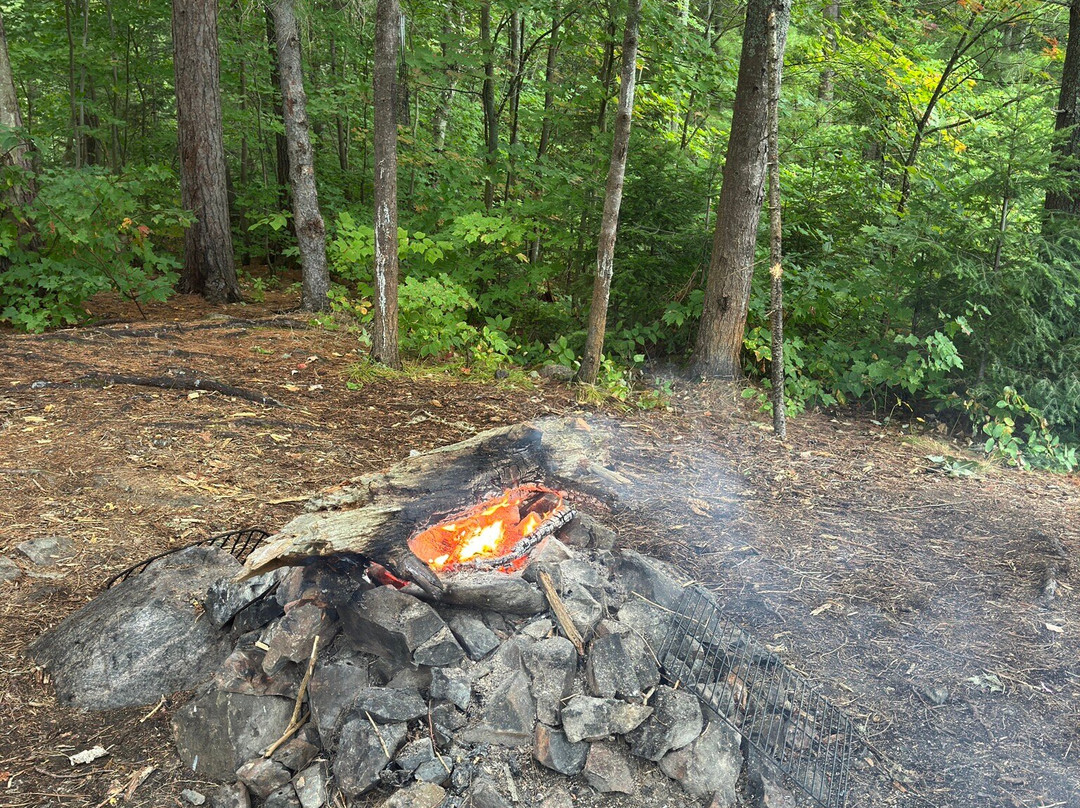 Nature & Nurture Journeys-Killarney必去景点