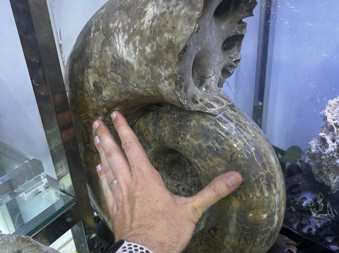 东海国际水晶珠宝城-连云港市必去景点