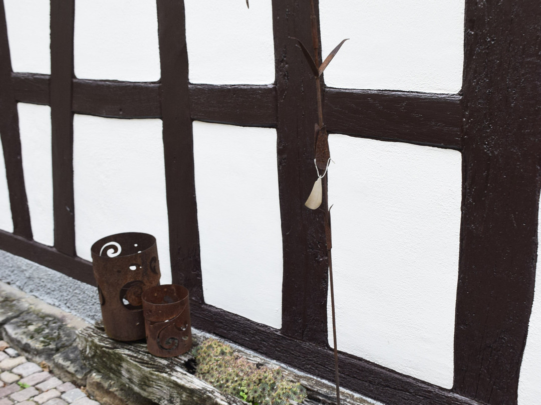 Hotel Salischer Hof主图