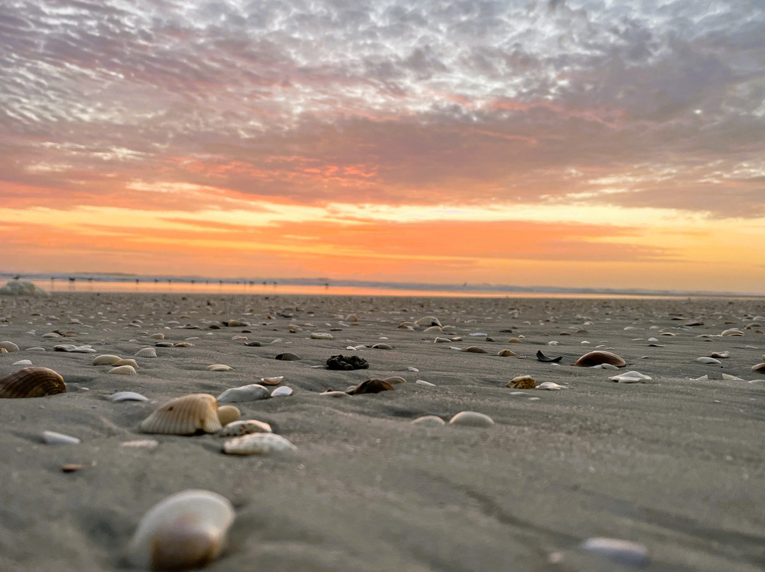 New Smyrna Town Beach-新士麦那海滩必去景点