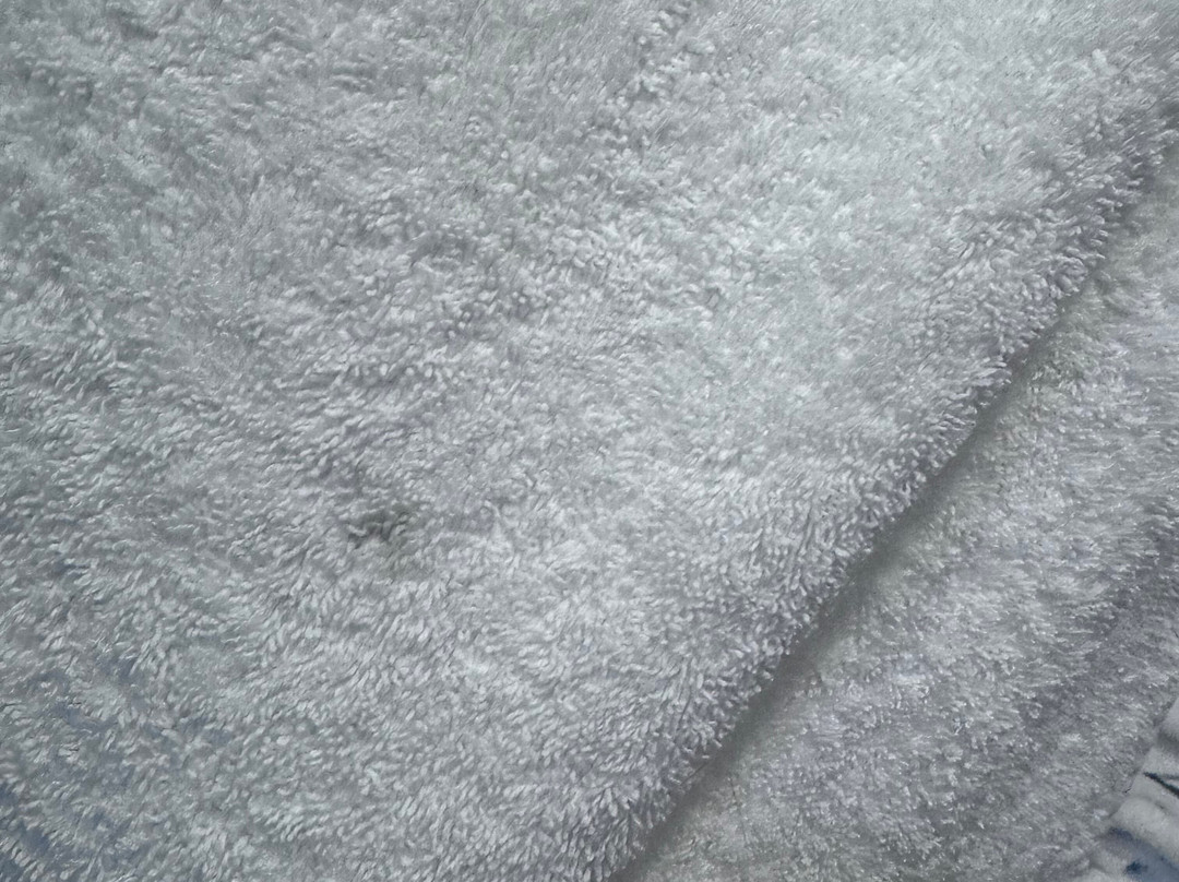 City Centre Guest House - Gloucester Park主图