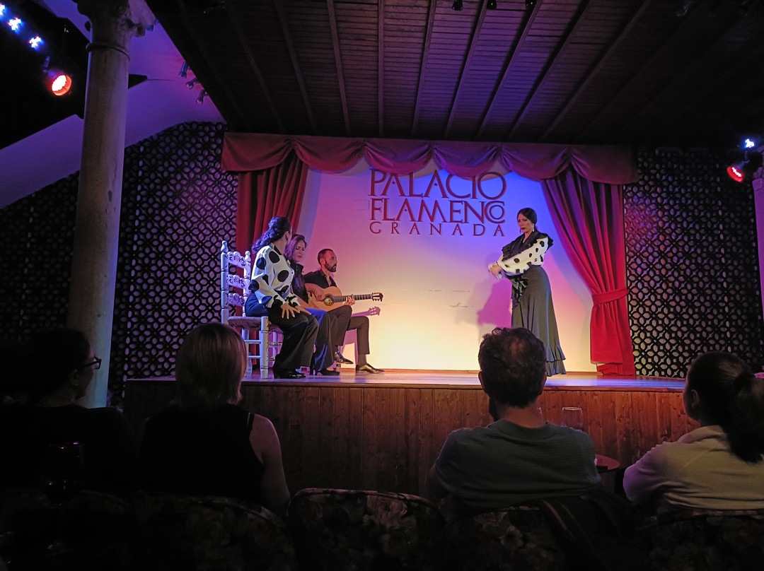 Palacio Flamenco-格拉纳达必去景点