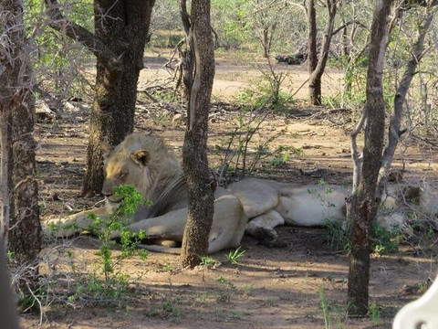 Wildpride Adventures-霍德斯普鲁特必去景点