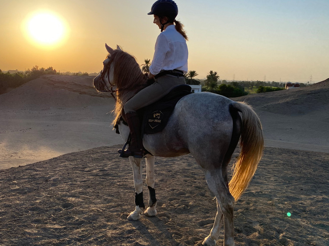 Desert Dreams-卢克索必去景点