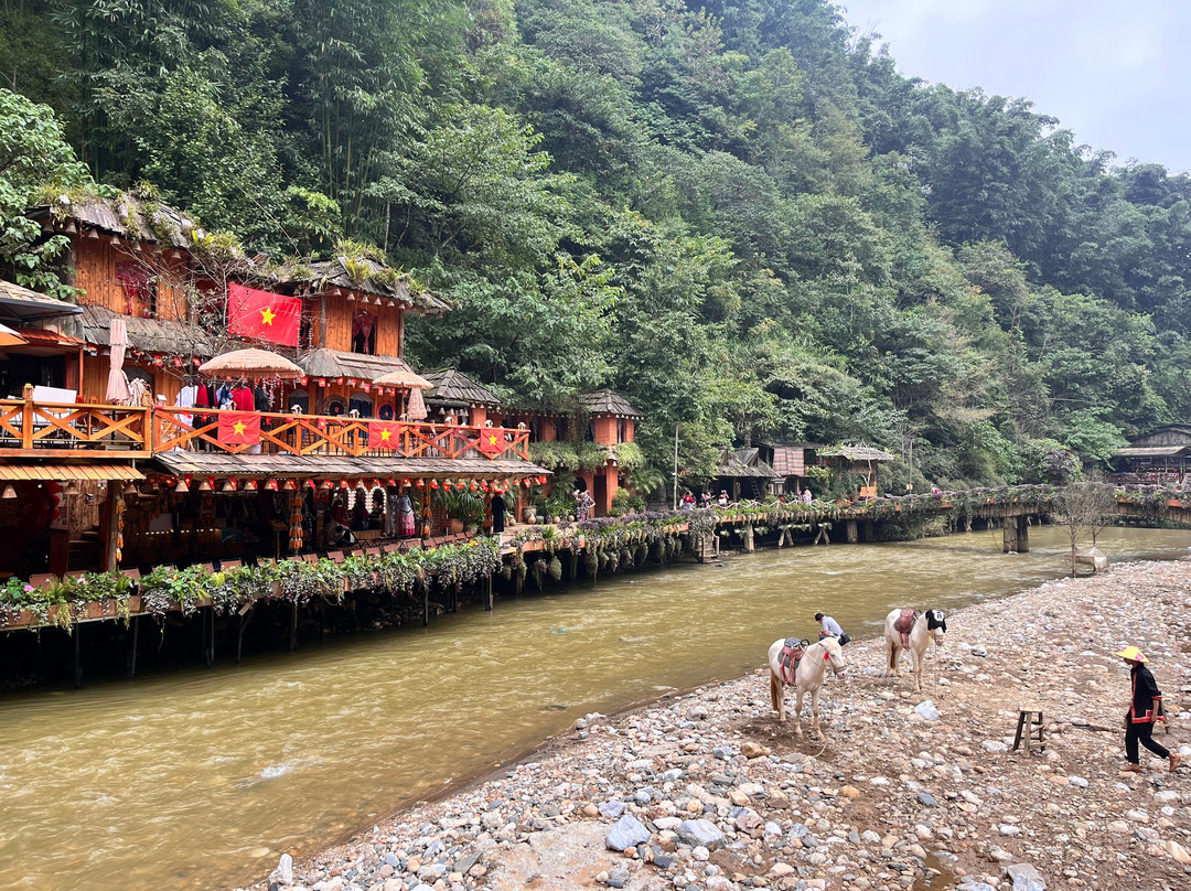 Saigonese Travel-沙巴必去景点
