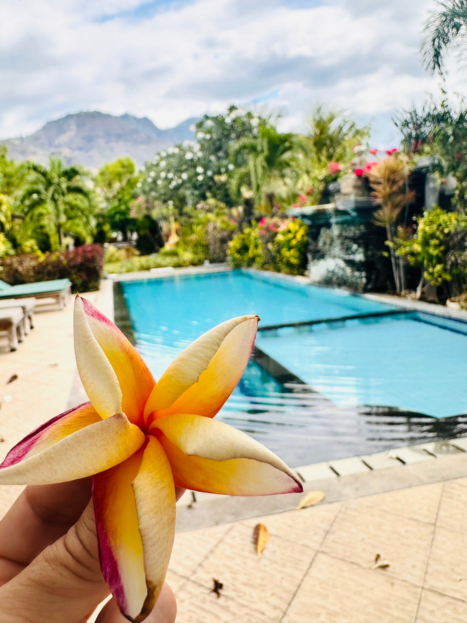 塔茹娜民宿-官方