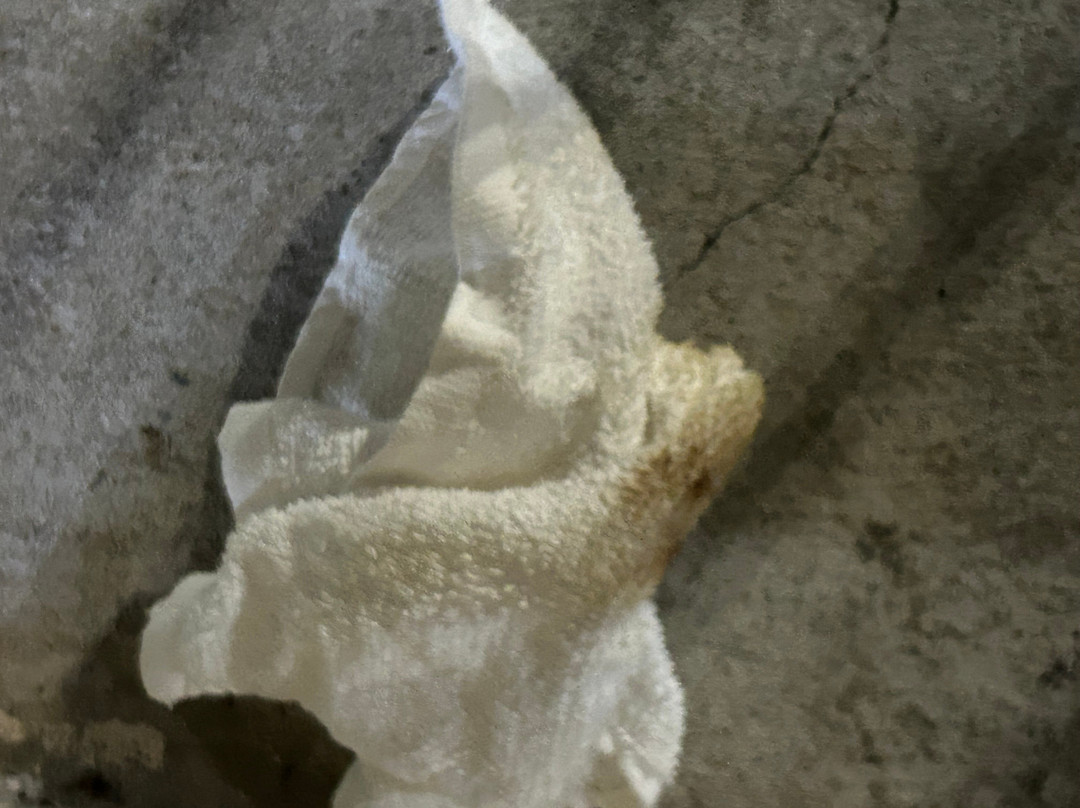 Quality Inn of Byron主图