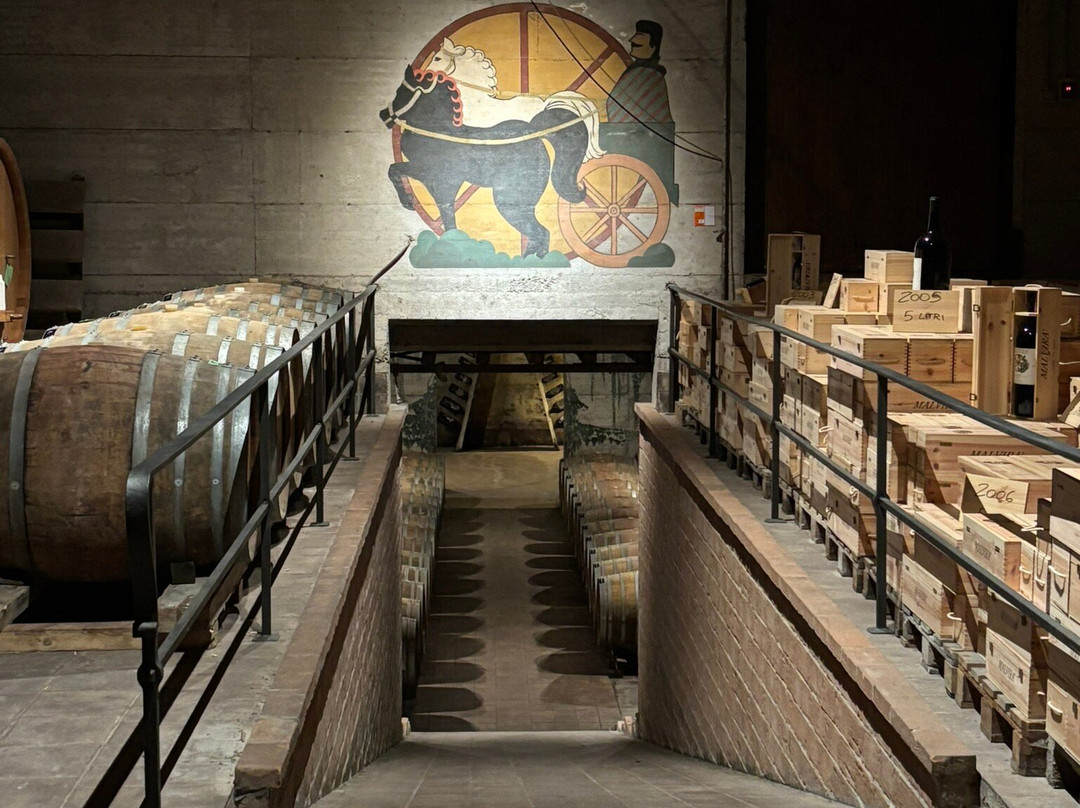 Piedmont Food and Wine-Vinchio必去景点